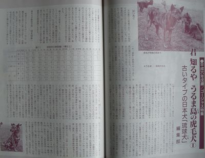 愛犬ジャーナル1994年7月号78・79頁.jpg